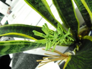 blog1 blog1