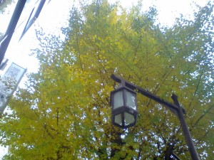 icho1 icho1