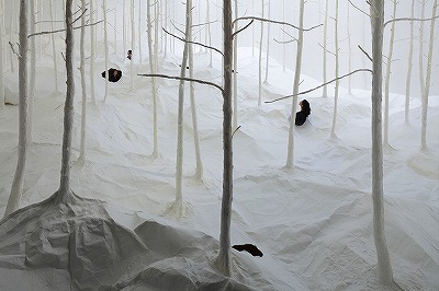 nature sensing 3